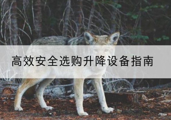 邯郸升降货梯厂家推荐-*安全选购升降设备指南