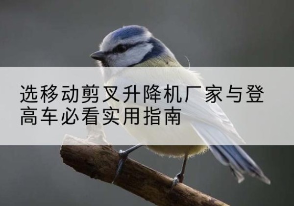 邯郸电动升降机厂家-选移动剪叉升降机厂家与登高车必看实用指南