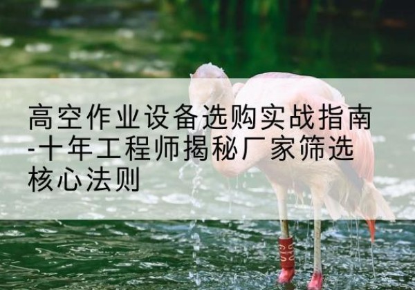 邯郸剪叉式升降机厂家-高空作业设备选购实战指南-十年工程师揭秘厂家筛选核心法则